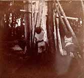 The Boy Castaways of Black Lake Island, 1901