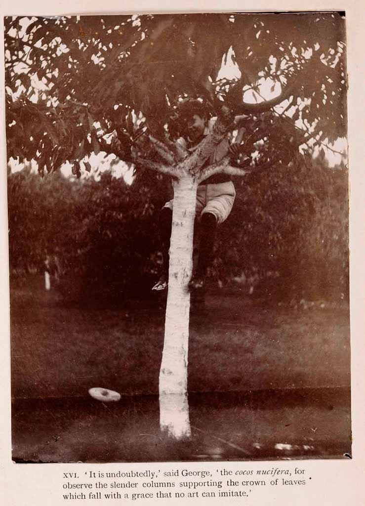 The Boy Castaways of Black Lake Island, 1901