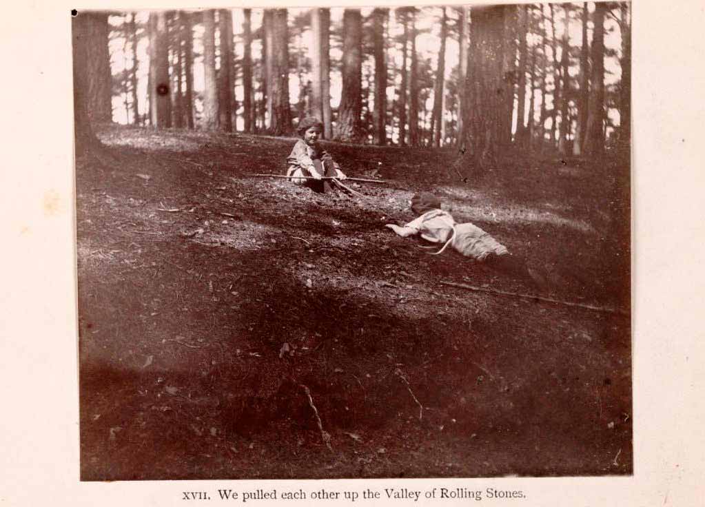 The Boy Castaways of Black Lake Island, 1901