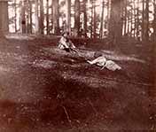 The Boy Castaways of Black Lake Island, 1901