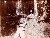 The Boy Castaways of Black Lake Island, 1901