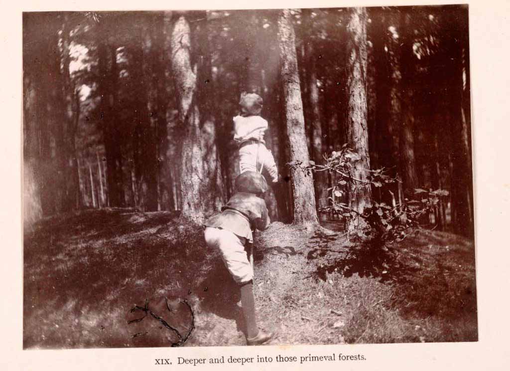 The Boy Castaways of Black Lake Island, 1901