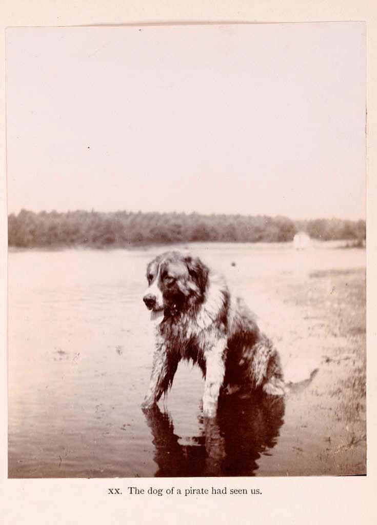 The Boy Castaways of Black Lake Island, 1901