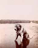 The Boy Castaways of Black Lake Island, 1901