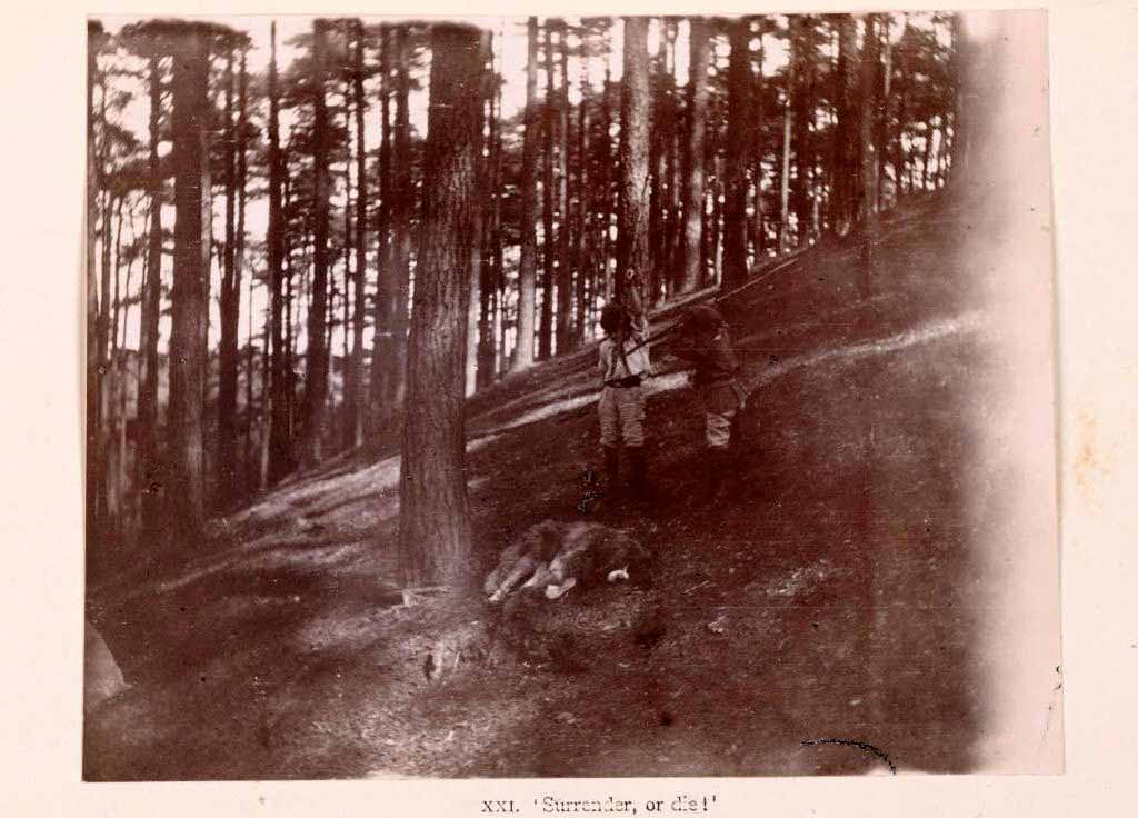 The Boy Castaways of Black Lake Island, 1901