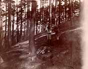 The Boy Castaways of Black Lake Island, 1901