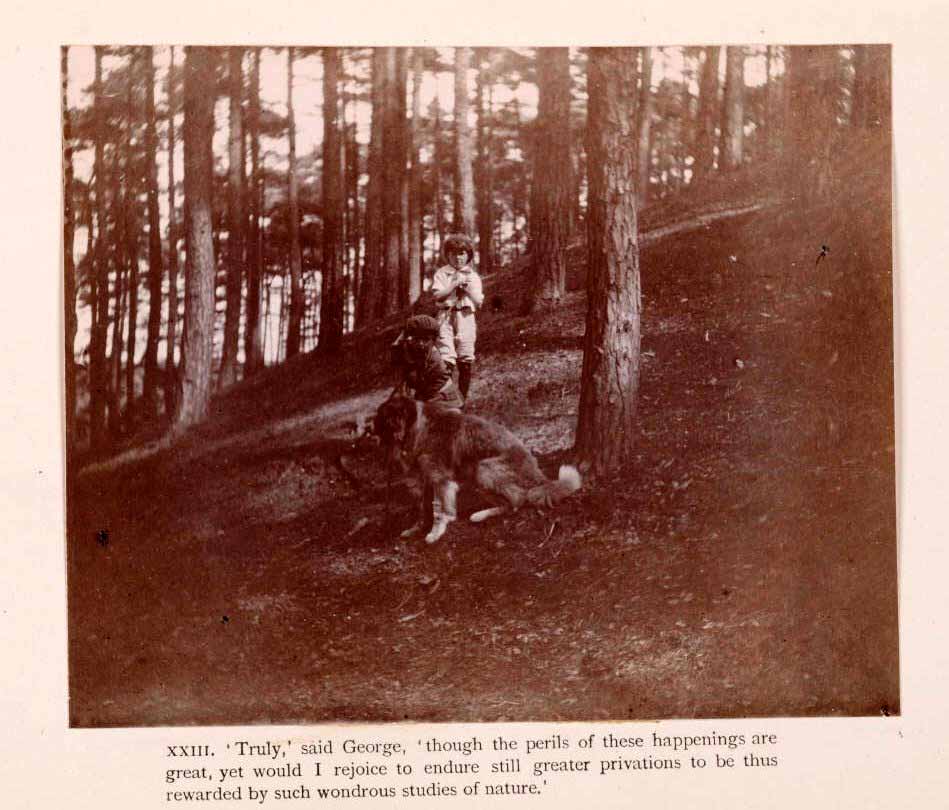 The Boy Castaways of Black Lake Island, 1901