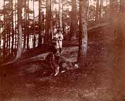 The Boy Castaways of Black Lake Island, 1901