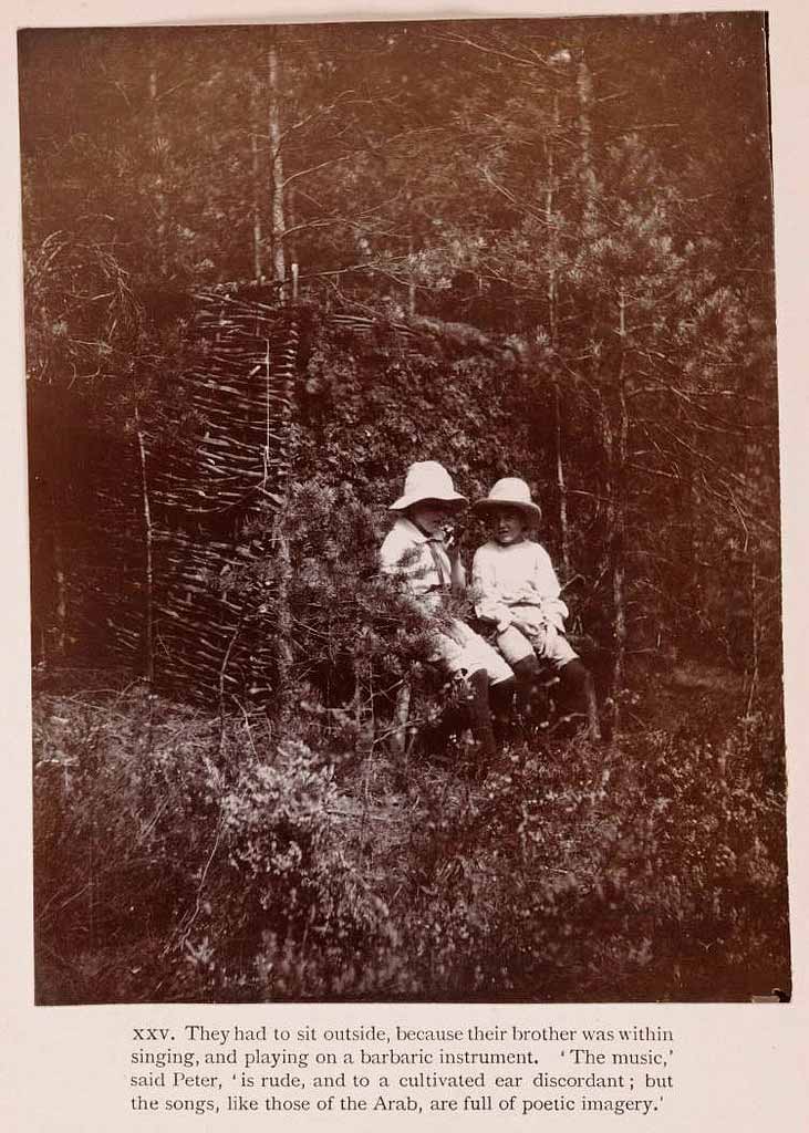 The Boy Castaways of Black Lake Island, 1901