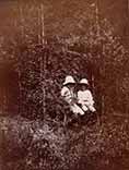 The Boy Castaways of Black Lake Island, 1901