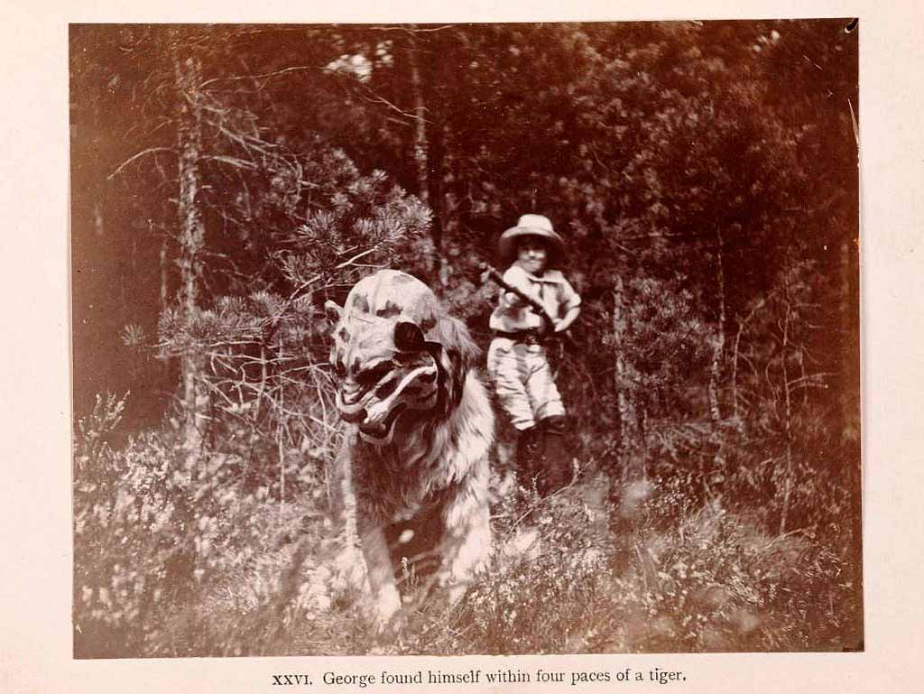 The Boy Castaways of Black Lake Island, 1901