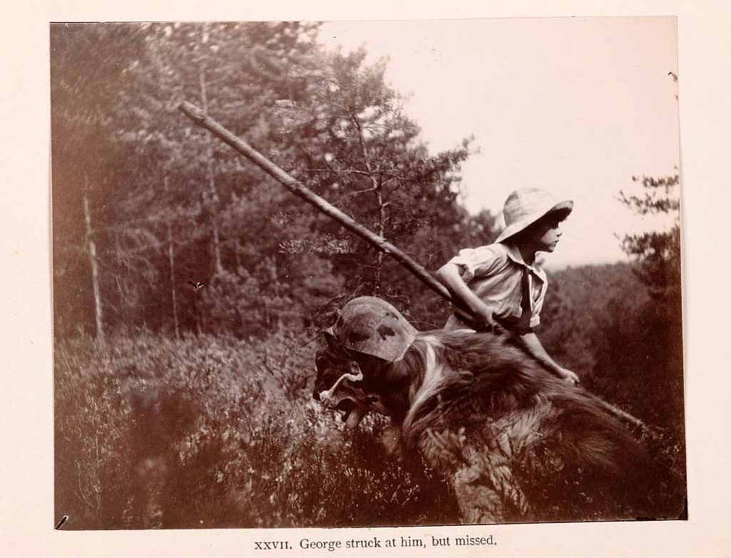 The Boy Castaways of Black Lake Island, 1901