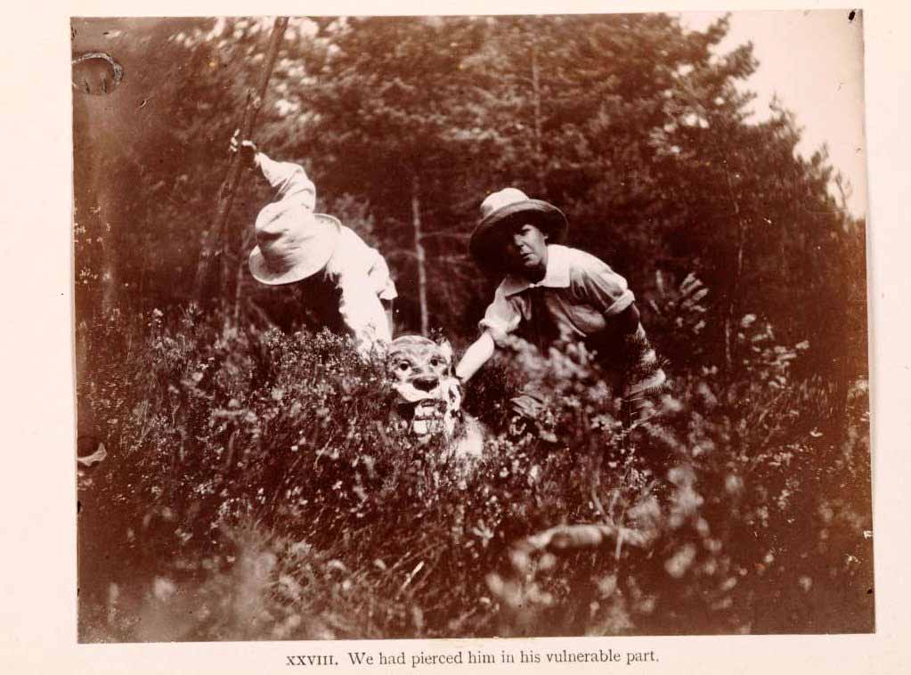 The Boy Castaways of Black Lake Island, 1901