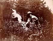 The Boy Castaways of Black Lake Island, 1901