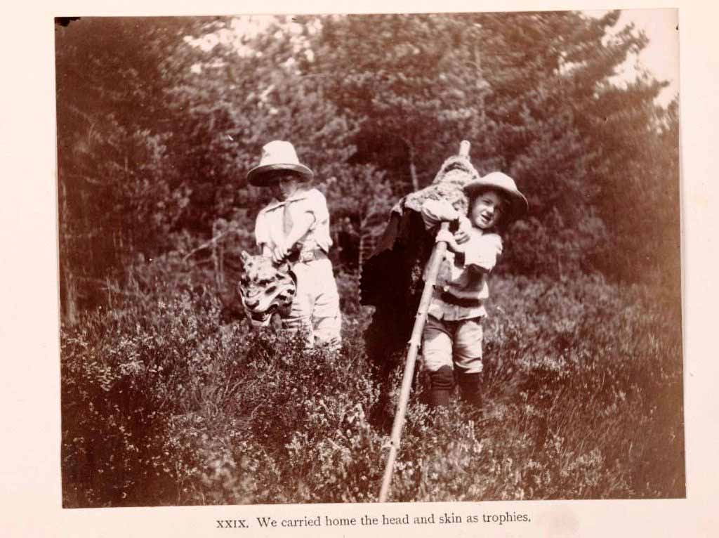 The Boy Castaways of Black Lake Island, 1901