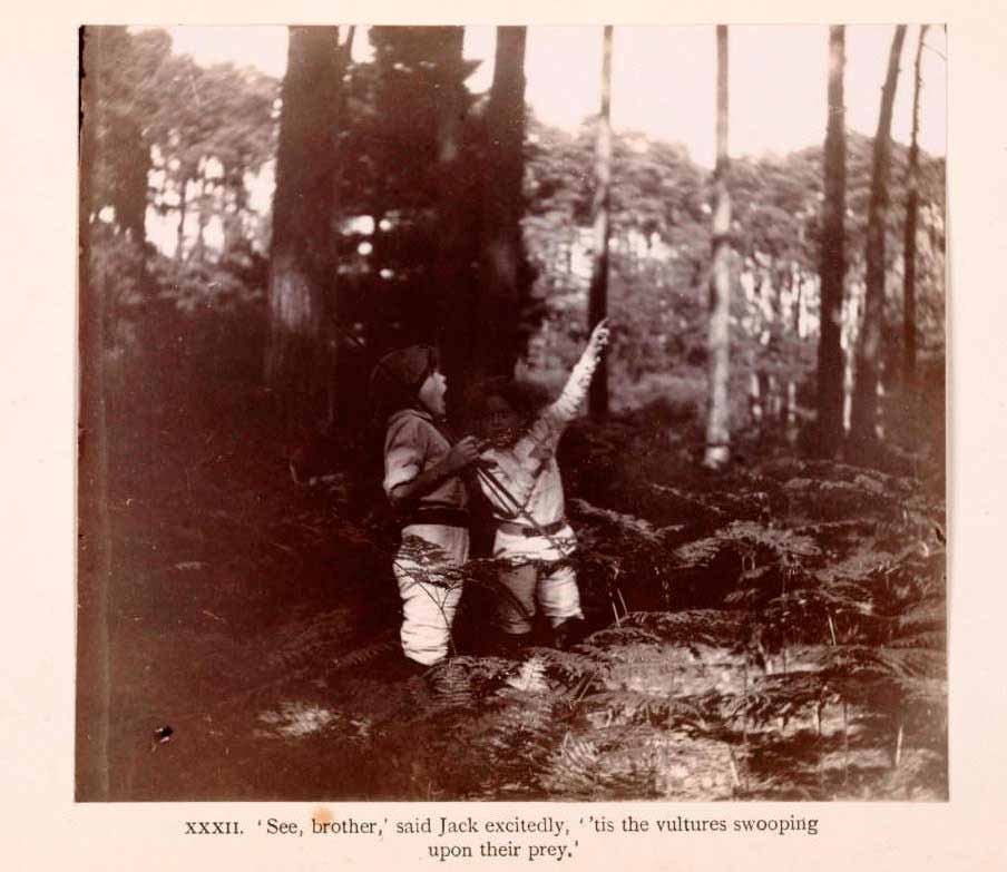 The Boy Castaways of Black Lake Island, 1901