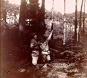 The Boy Castaways of Black Lake Island, 1901