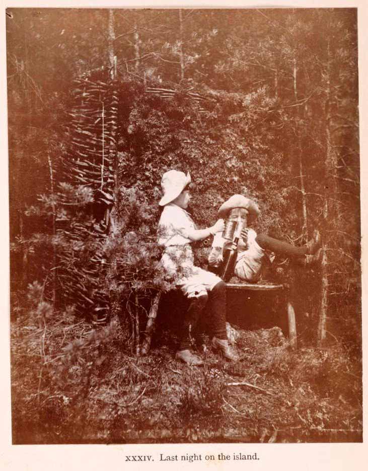 The Boy Castaways of Black Lake Island, 1901