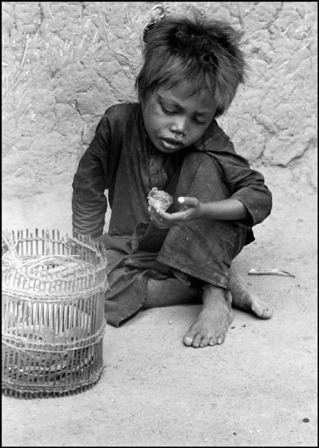 Boy with bird (Мальчик с птицей), 1952