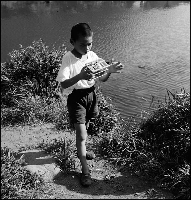 Boy with cricket (Мальчик с крикетом), 1951