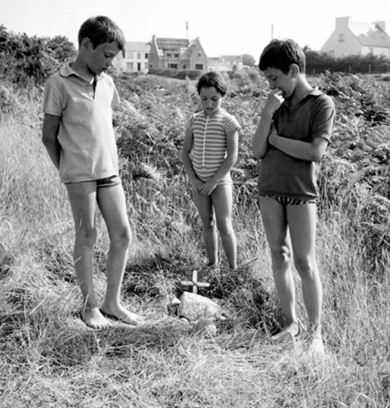 The grave of the bird / Holiday (Могила птички / Каникулы), 1968