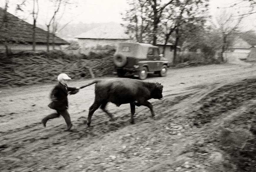 Деревенский тореадор (The Village Toreador), 1970е