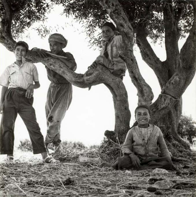 Images d'Algérie * Изображения Алжира (1957-1961)