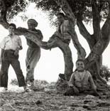 Images d'Algérie * Изображения Алжира (1957-1961) 