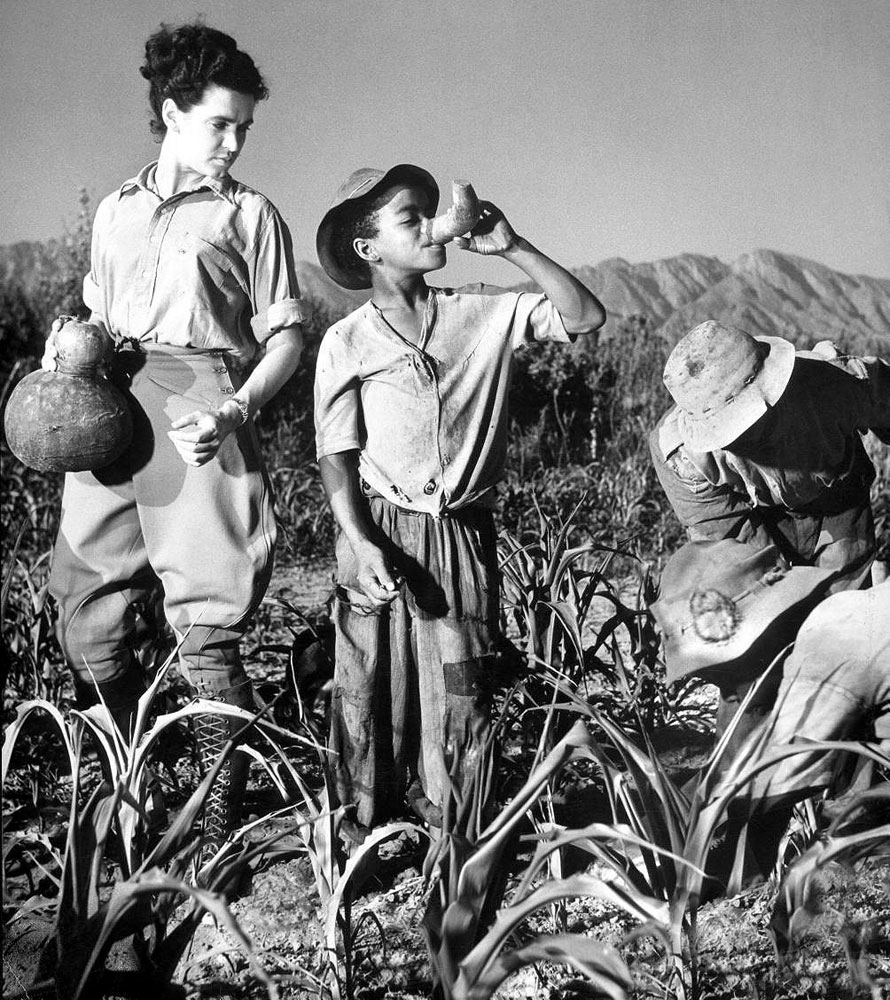 A Boy Working in Corn Field Receives a Noonday ration of wine (Мальчик, работающий на кукурузном поле, получает ежедневную порцию вина), 1950