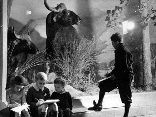 Young Children Taking Notes at Museum of Natural History (Дети делают заметки в музее естественной истории)