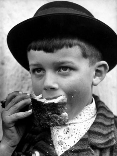 Portrait of a Handsome Young Czech Peasant Boy Dressed in His Best Sunday Clothes (Портрет чешского крестьянского мальчика, одетого в лучшую выходную одежду)