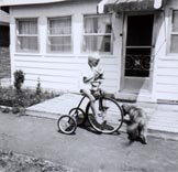 Мальчишки и велосипеды *  Boys and bicycles