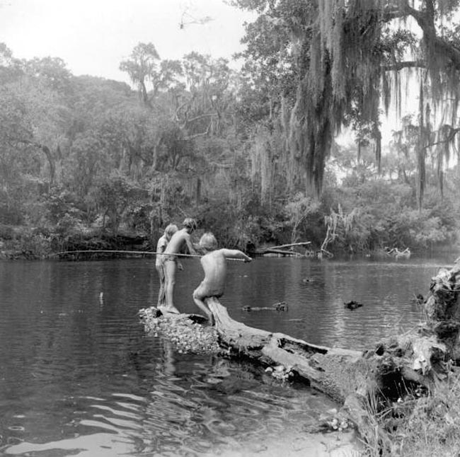 Children fishing on Withlacoochee River (Дети, рыбачущие в реке Силакоучи), July 1973