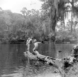 Children fishing on Withlacoochee River / Дети, рыбачущие в реке Силакоучи