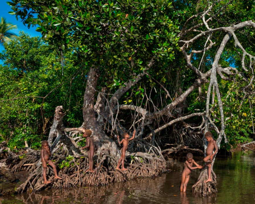 Kids playing in mangrove swamp (Дети, играющие в мангровых зарослях)