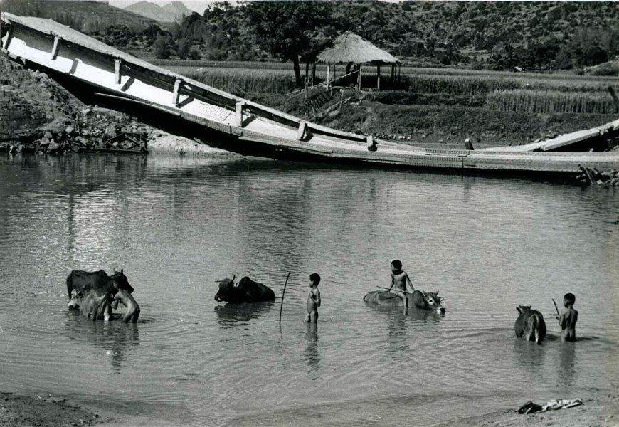 Boys washing cattle (Мальчишки моют коров), c.1967