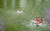 In a summer day / В летний день
