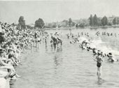 A lakefront / Побережье озера