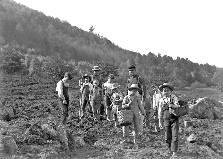 Boys working in a field (Мальчики, работающие в поле), c.1910