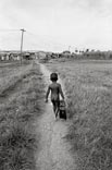 from series RAÍZ DE SUEÑOS * из серии КОРЕНЬ МЕЧТЫ (1992-1994)