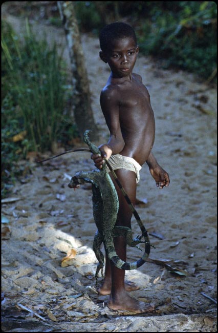 Boy carrying an iguana (Мальчик, несущий игуану)