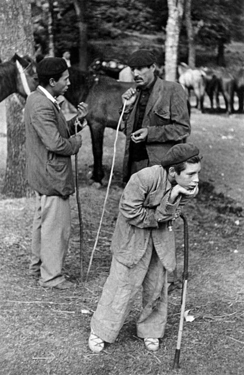 Animal fair (Ярмарка скота), July 1952