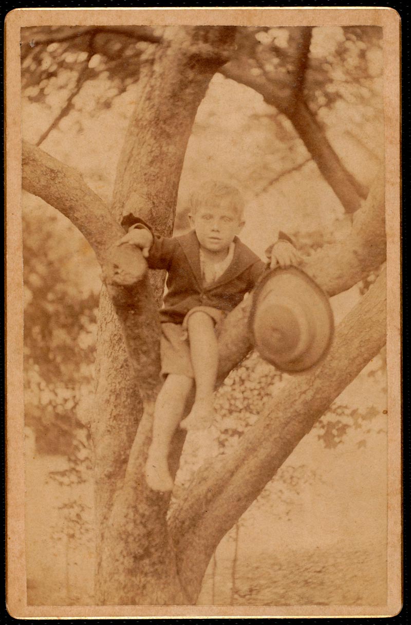 St. Helen's Home; boy in tree (С.-Элен Хаус; мальчик на дереве), 1894-1905