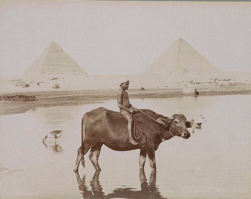 Boy on a buffalo with two pyramids in the background (Мальчик на буйволе на фоне двух пирамид), 1895-1905