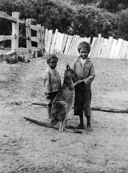 Aboriginal boys with kangaroo (Мальчики-аборигены с кенгуру)