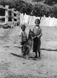 Aboriginal boys with kangaroo / Мальчики-аборигены с кенгуру