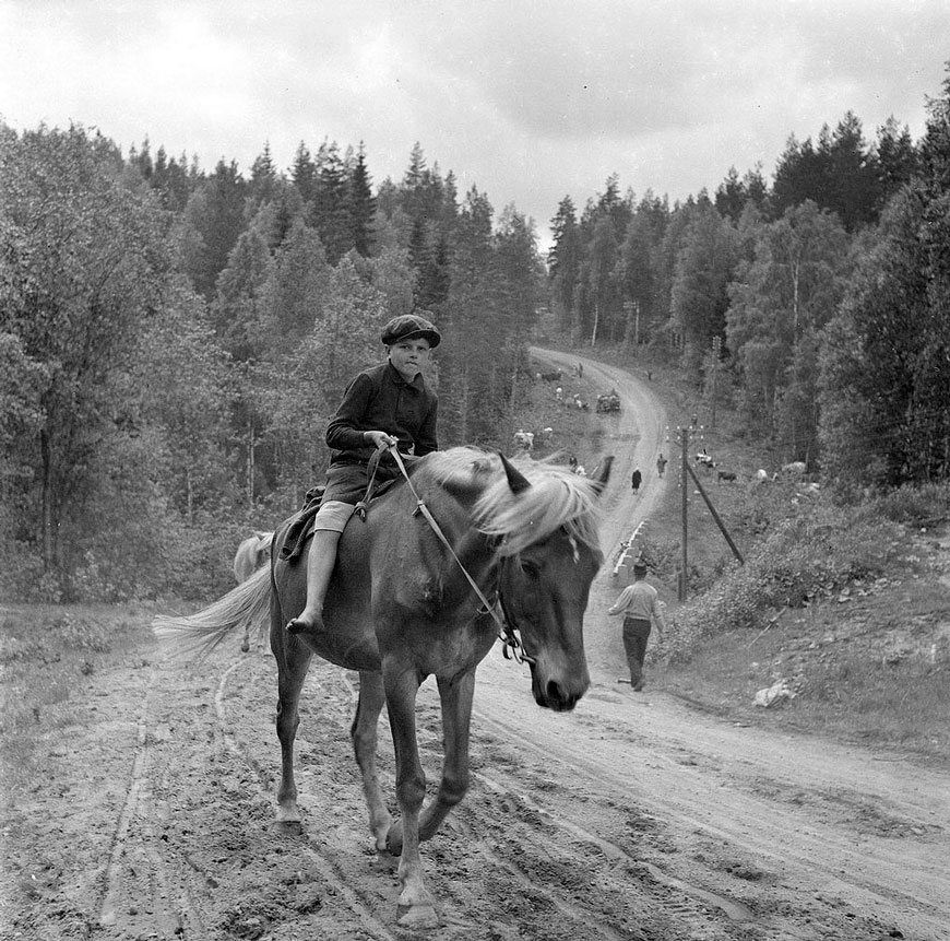 [Boy on horseback / Мальчик на лошади]