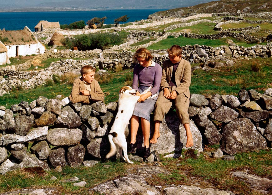 Teenagers pass the time playing with a dog on a stonewall near their home (Подростки проводят время, играя с собакой на каменной стене возле своего дома)