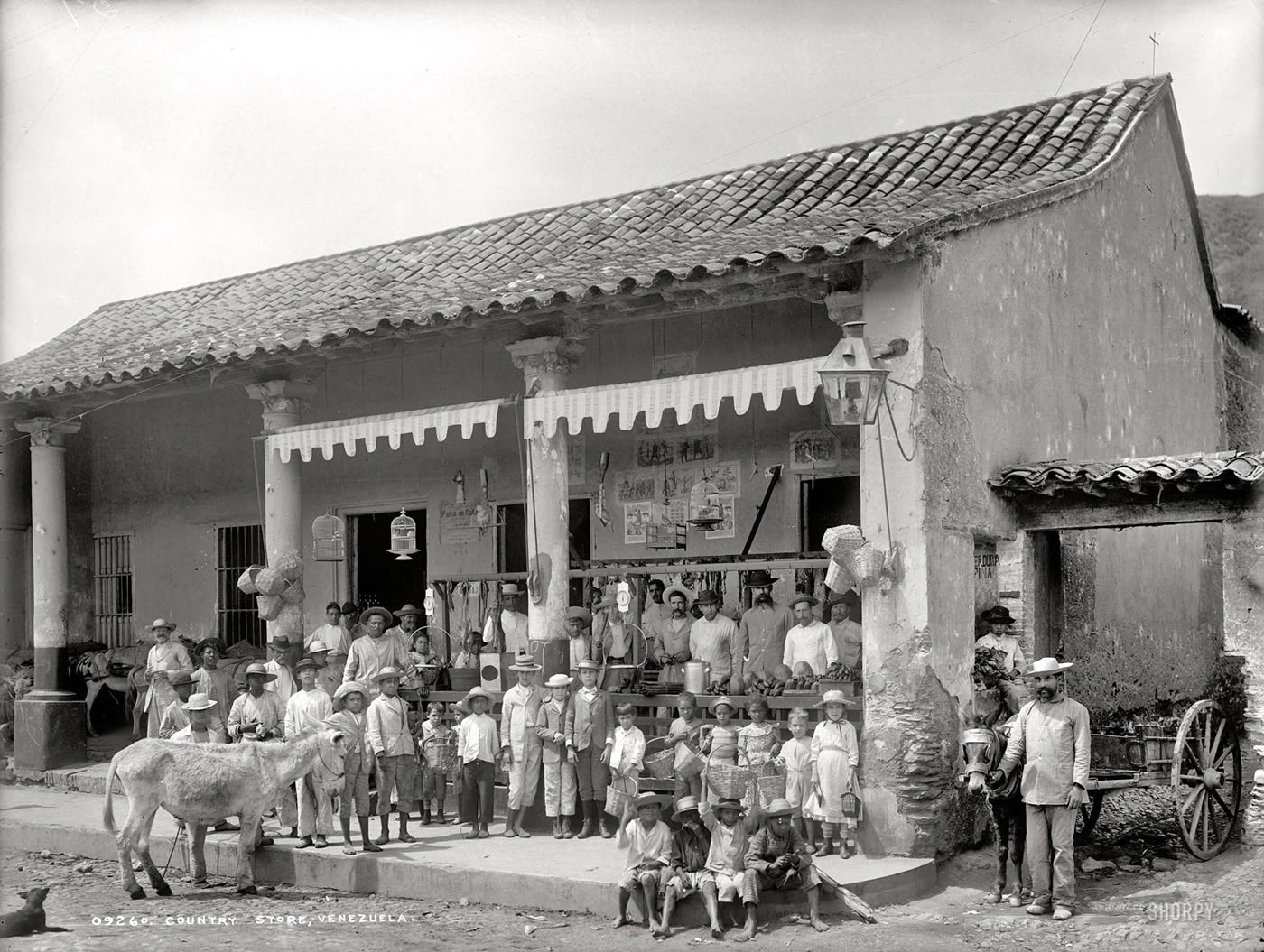 Country store (Деревенский магазин), c.1905