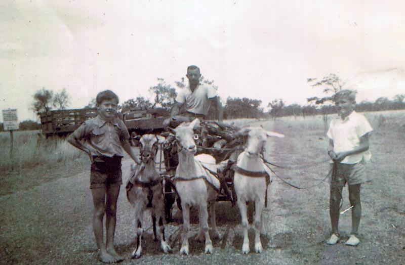 Boys with goat cart at (Мальчики с повозкой, запряжённой козлами), 1948